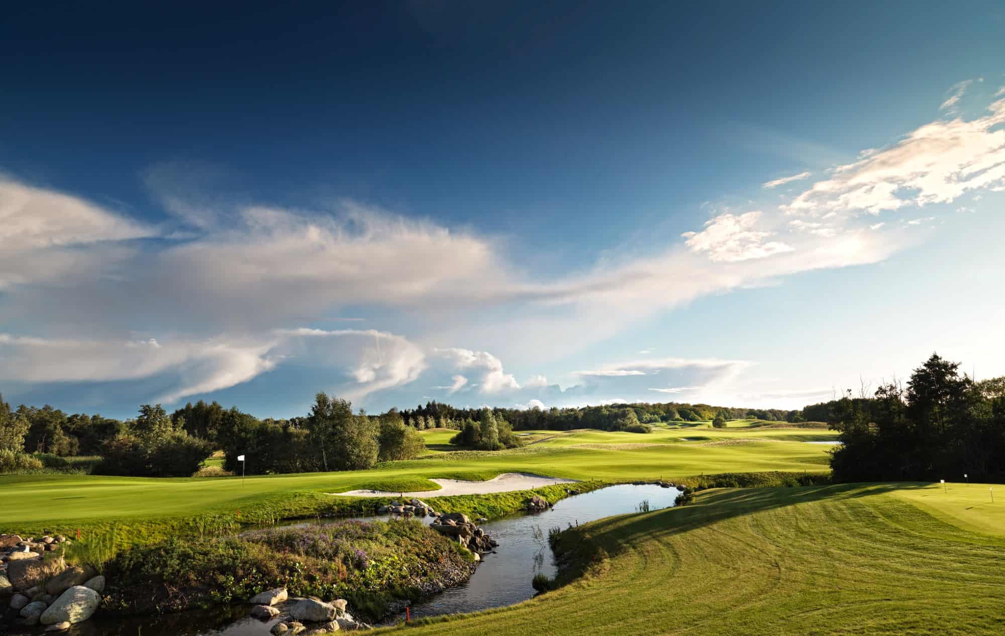 The-Scandinavian-Old