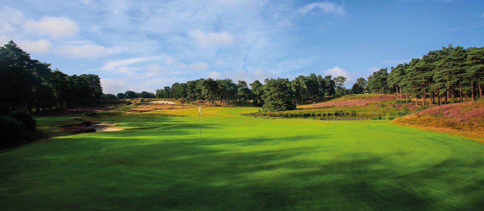 West Sussex, ranked 67 in Great Britain & Ireland Courses