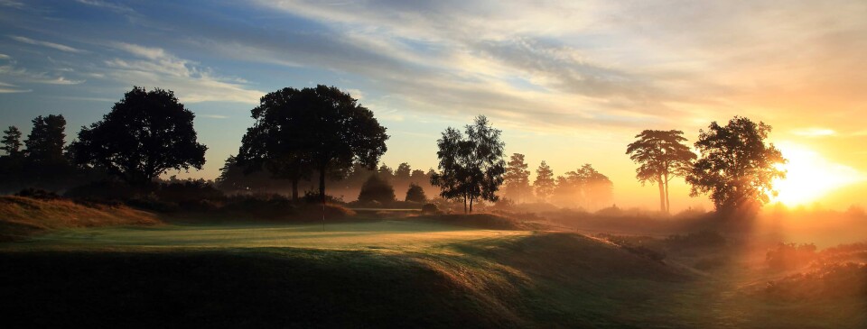 Hankley Common, ranked 49 in Great Britain & Ireland Courses