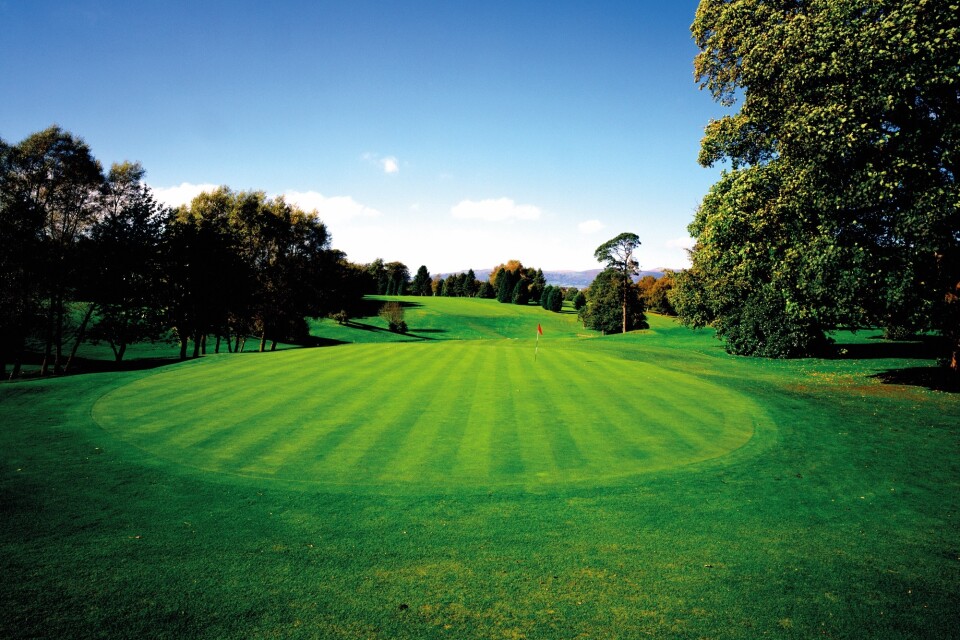 Belvoir Park, ranked 54 in Ireland