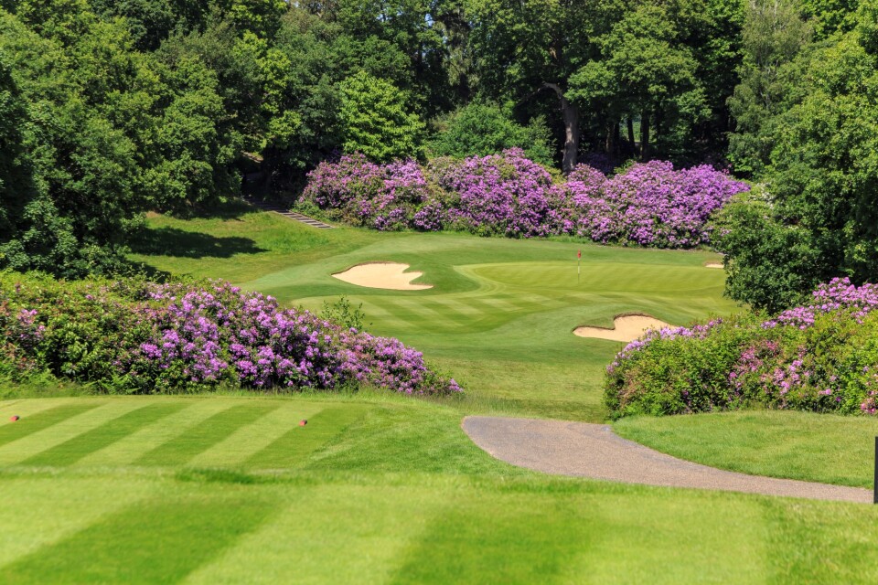 Coombe Hill, ranked 241 in Great Britain & Ireland Courses