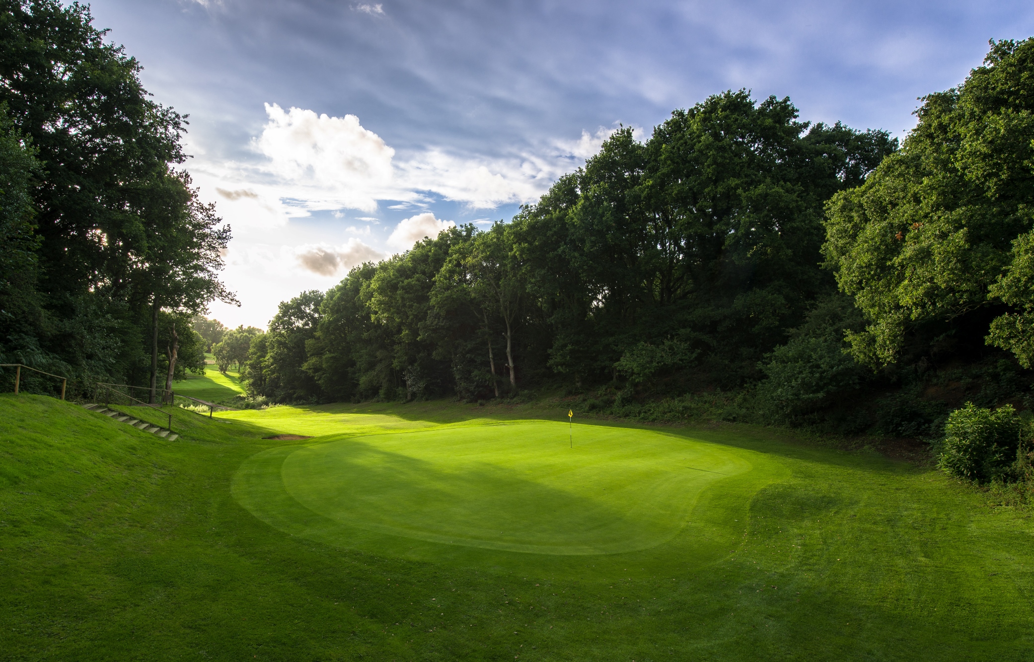 Trees around the 11th at Canterbury