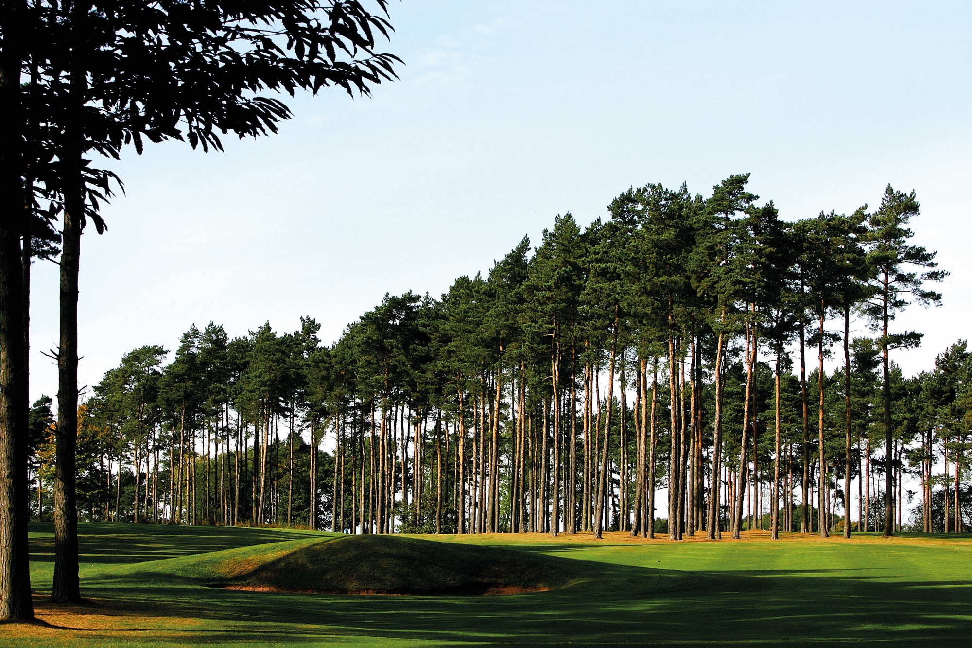 Forest Pines 14th (1)