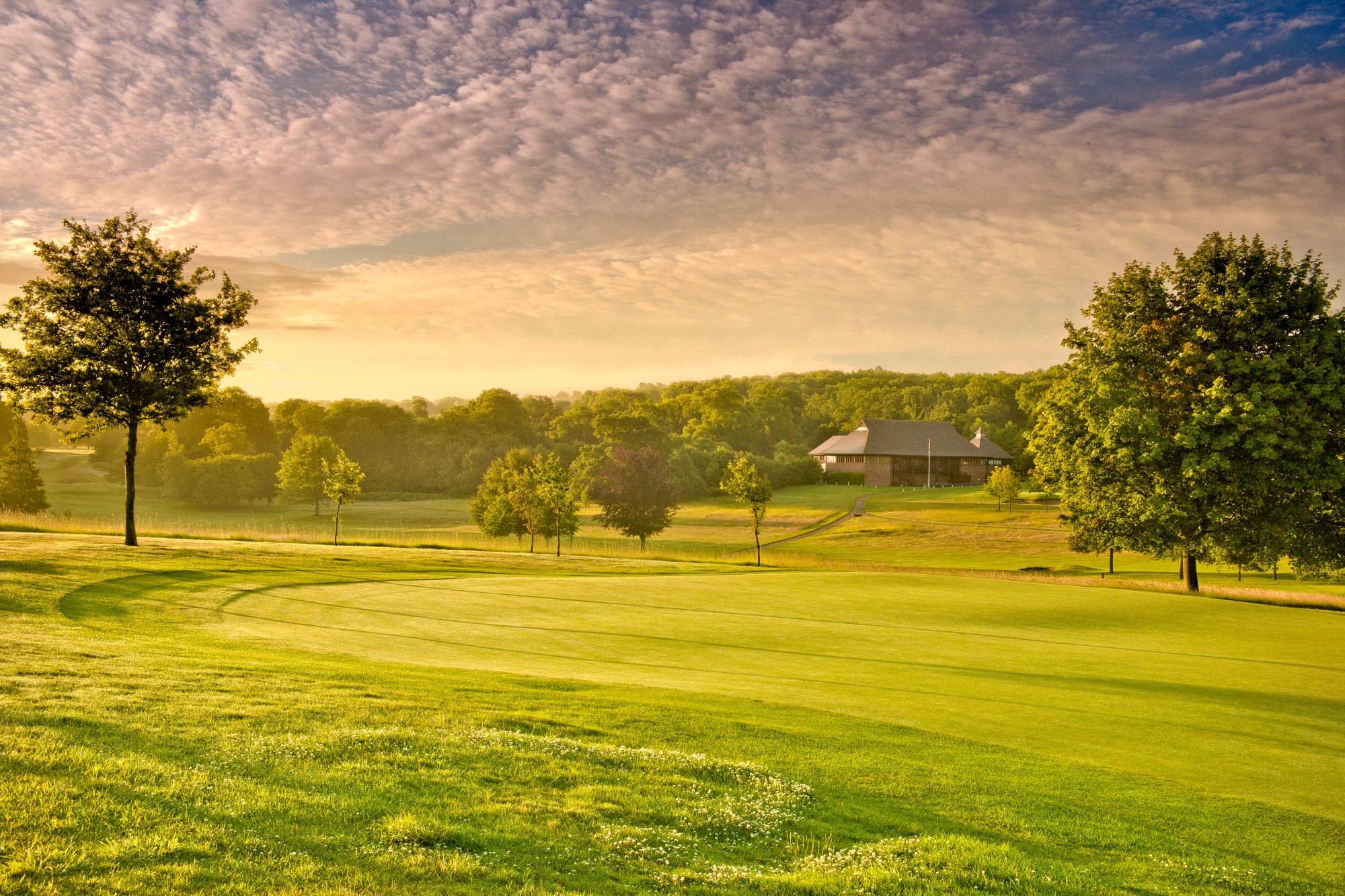 Rochester & Cobham Park 16th