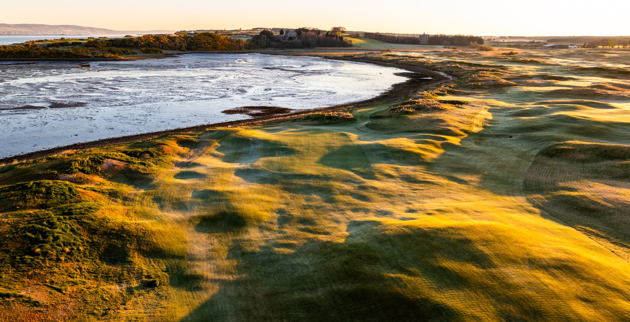 Old Petty_MainImage - Copy