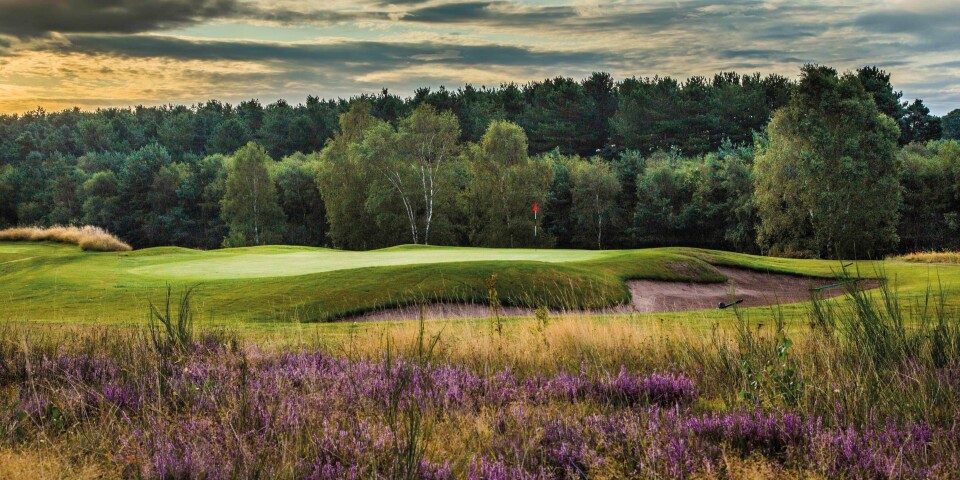 Sherwood Forest, ranked 76 in Great Britain & Ireland Courses