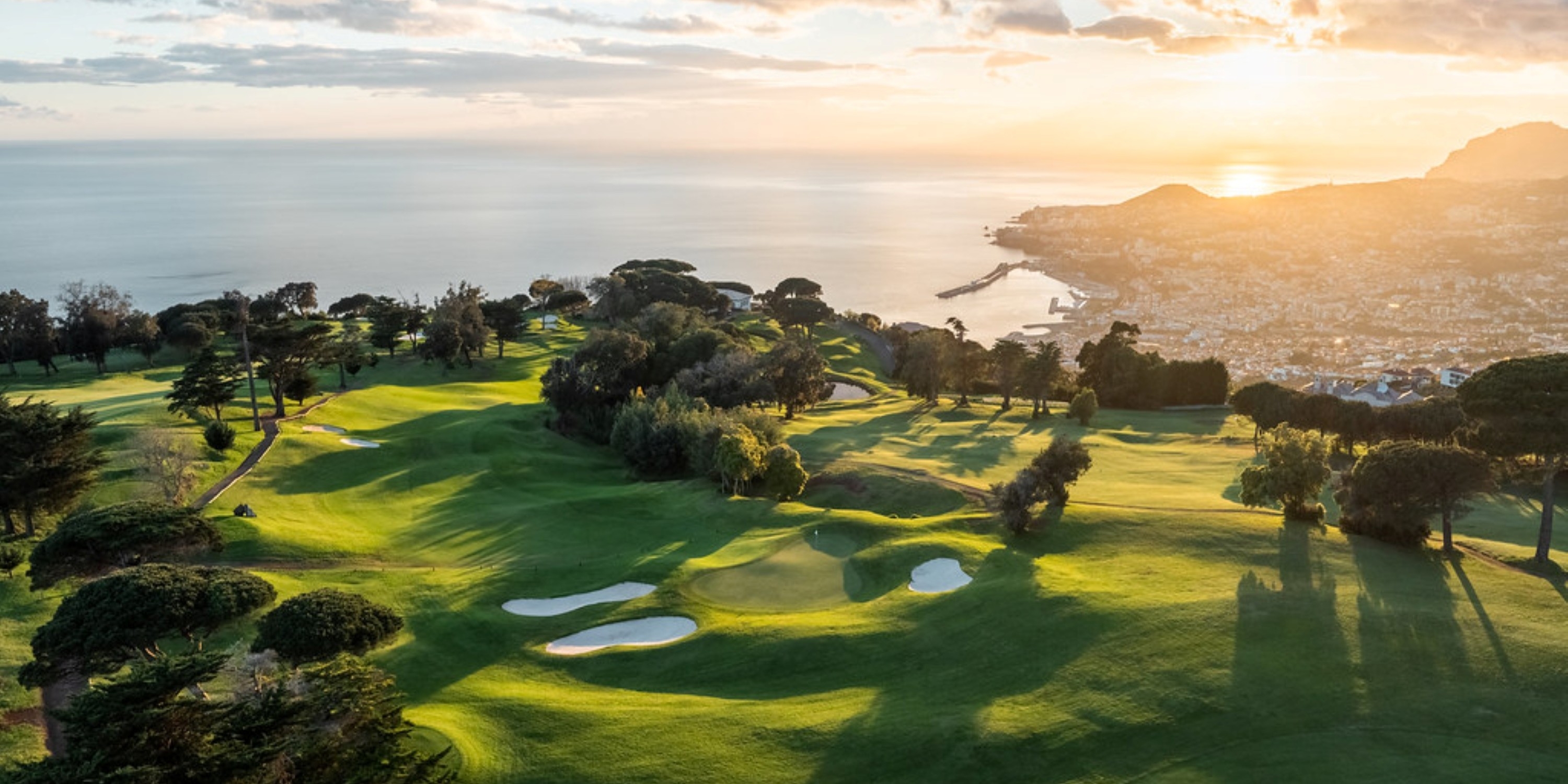 54407493596_7cdd080586_b