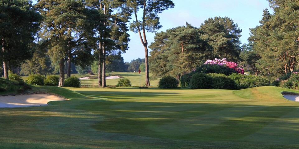 Ferndown (Old), ranked 95 in Great Britain & Ireland Courses