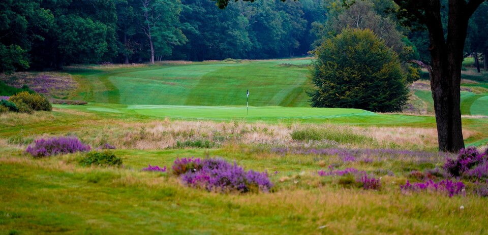 Stoneham, ranked 139 in Great Britain & Ireland Courses