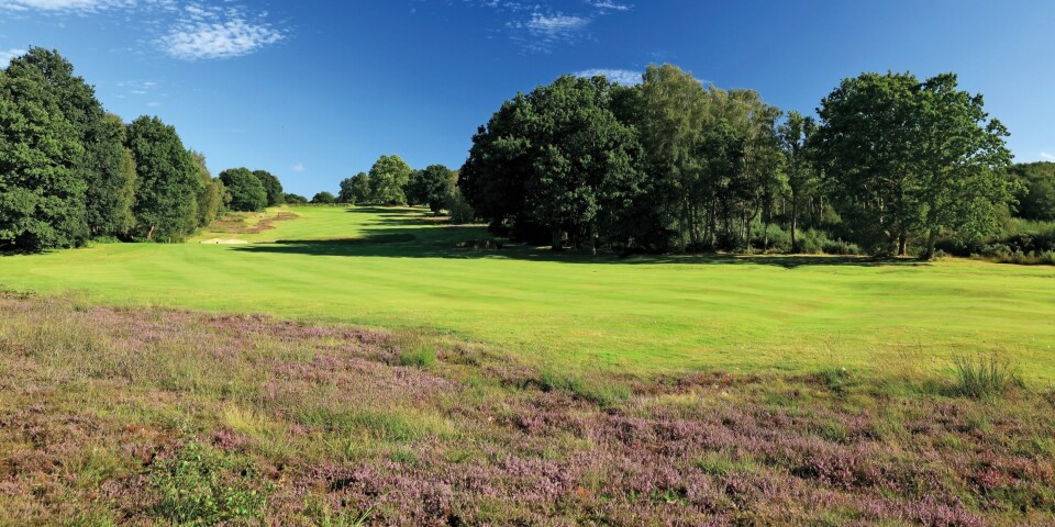 Piltdown, ranked 141 in Great Britain & Ireland Courses