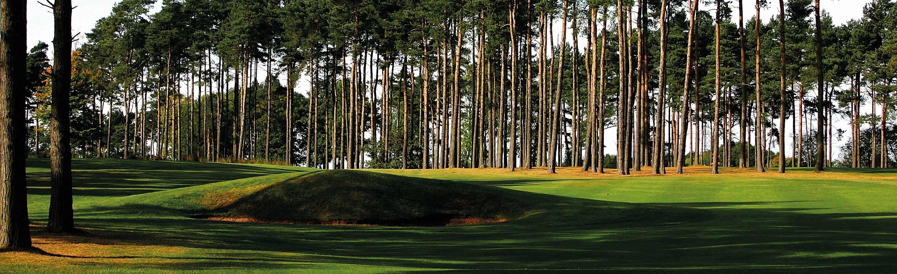 Forest Pines 14th (2)