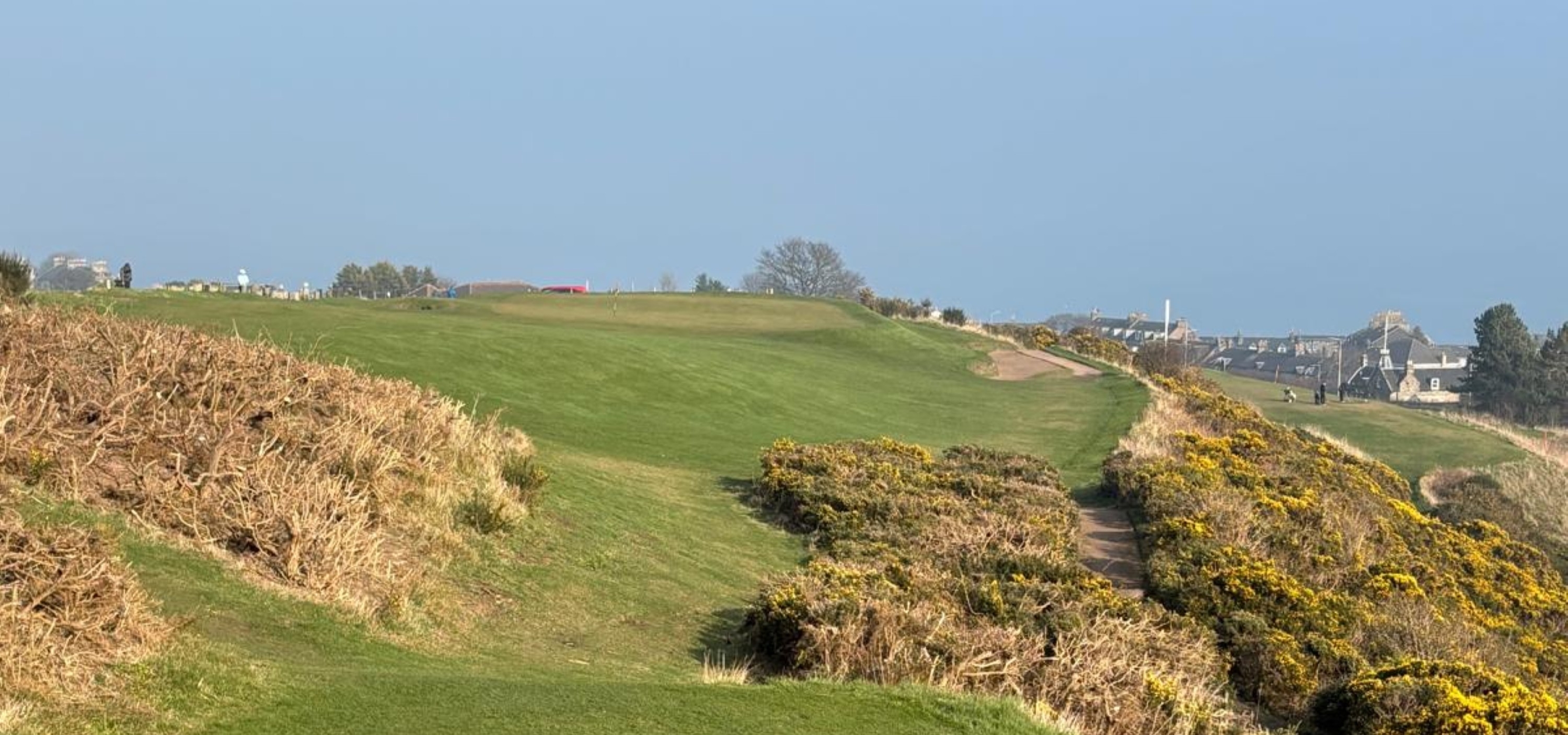 Kinghorn-2025-10-25-17-41-26