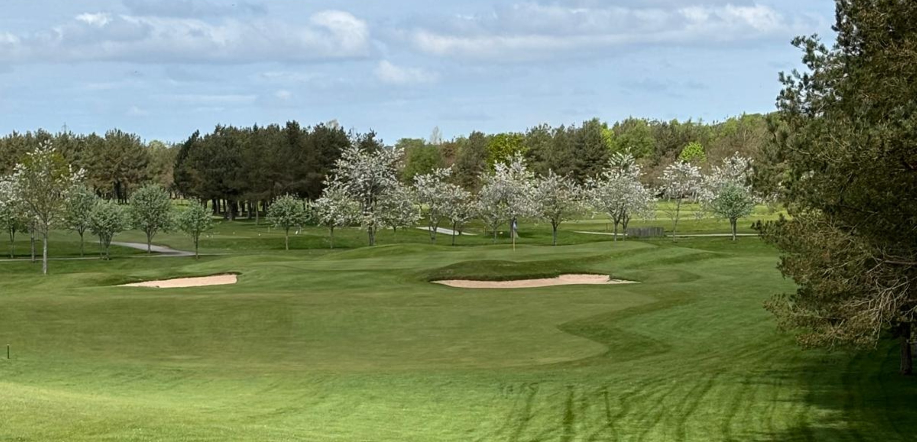 Newmachar Swailend17-44-02 4