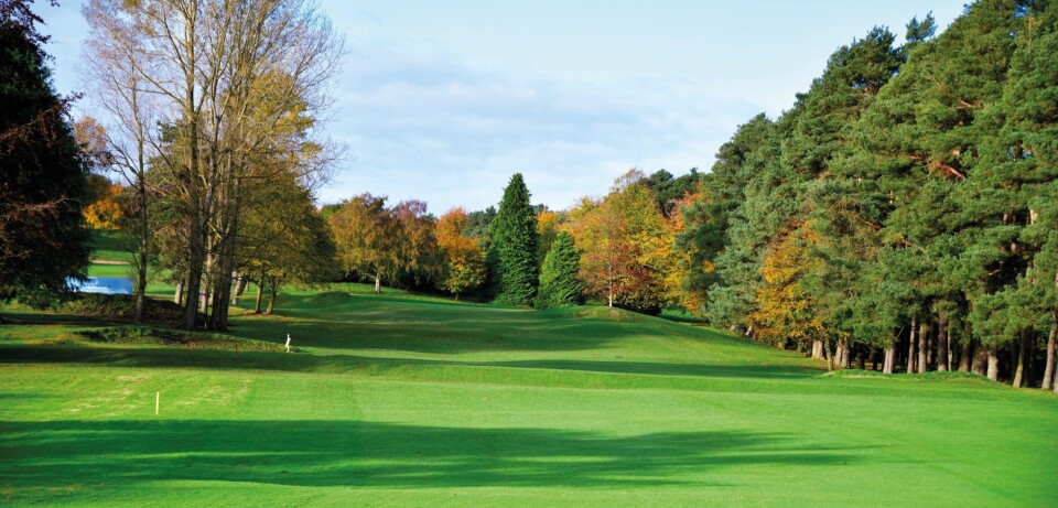 Royal Curragh, ranked 58 in Ireland