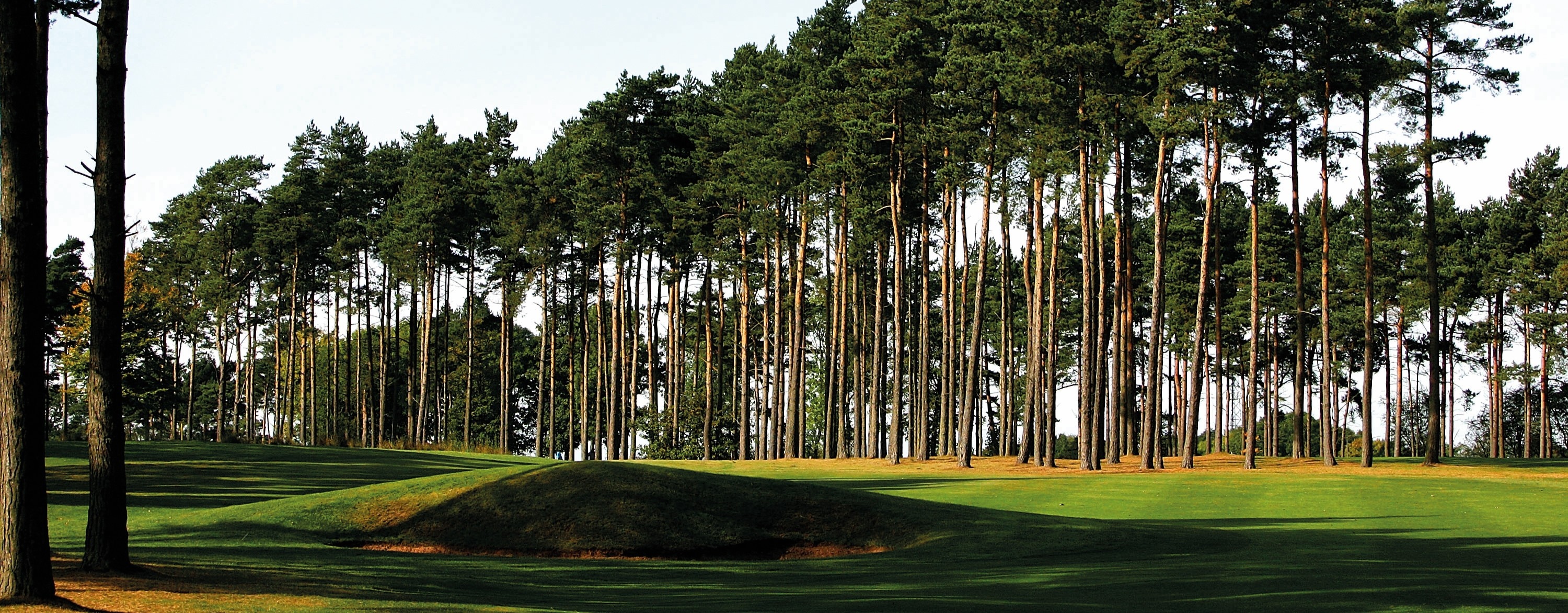 Forest Pines 14th (2)