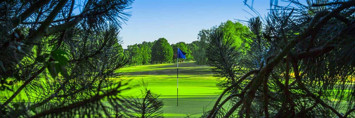 4_HGC_Course_2015_SP-8567_LS