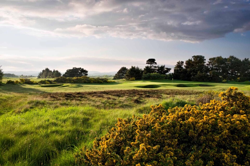Irvine, ranked 199 in Great Britain & Ireland Courses
