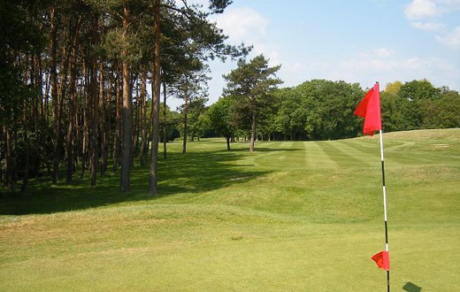 leatherhead-playgolf-1