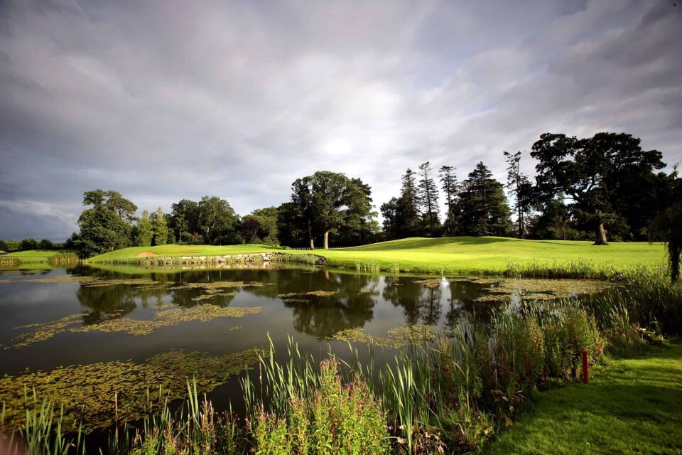 The K Club (Palmer North), ranked 184 in Great Britain & Ireland Courses