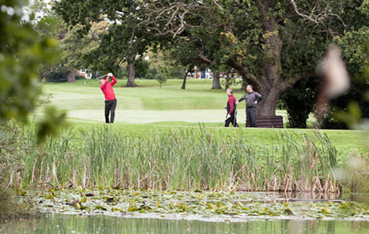 upton-by-chester-1-2