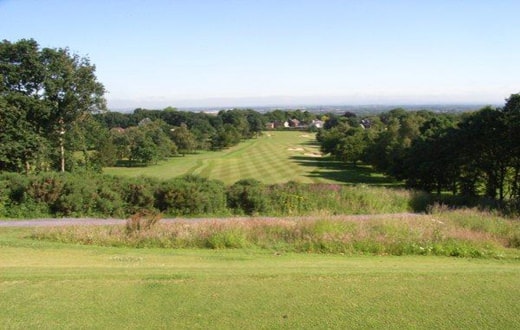 8061317eaad4102b84ac00e08133f7d2-2