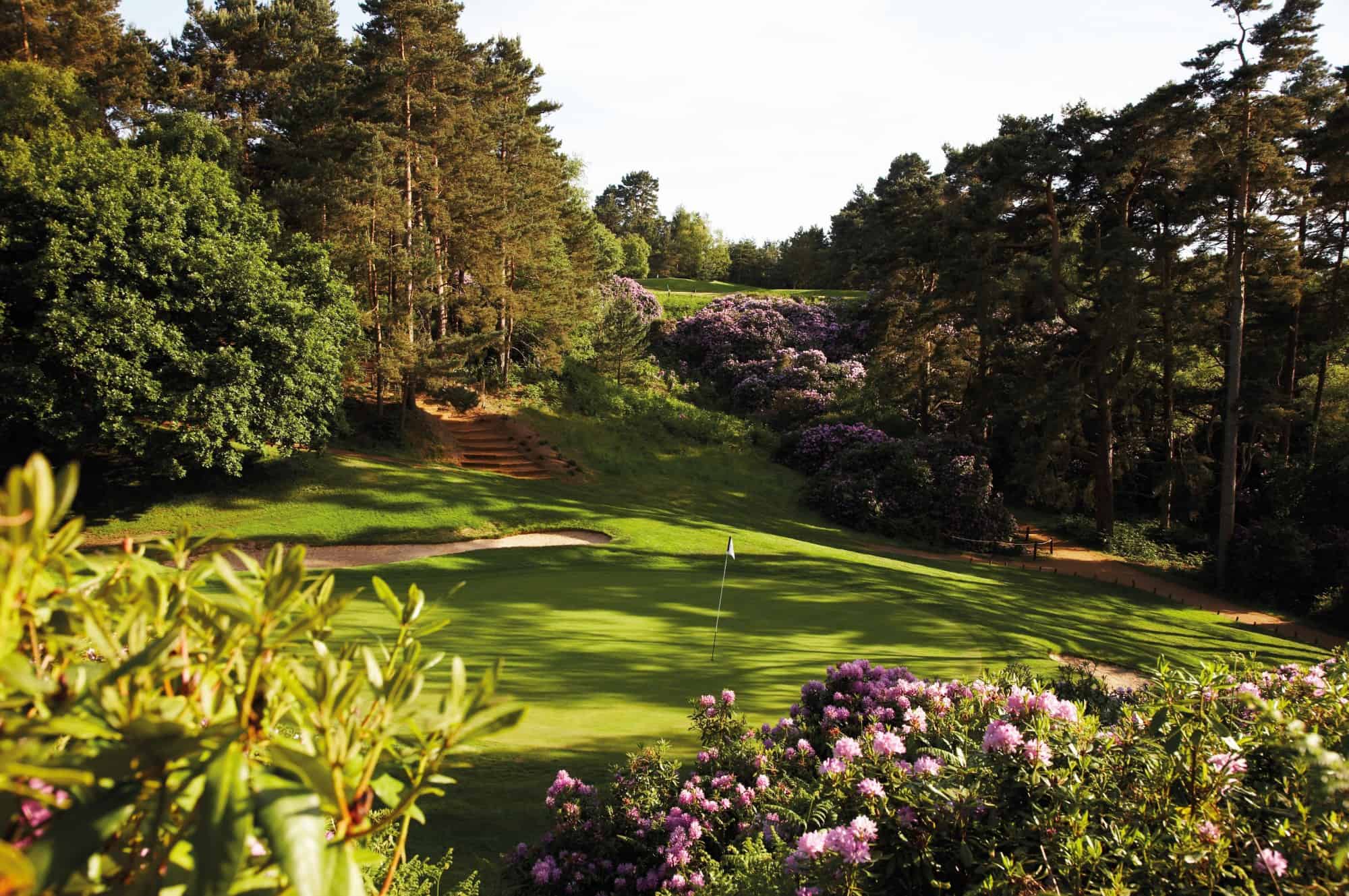 Dukes-3-WOBURN-COURSE-PHOTOGRAPHY-02-06-09-0036