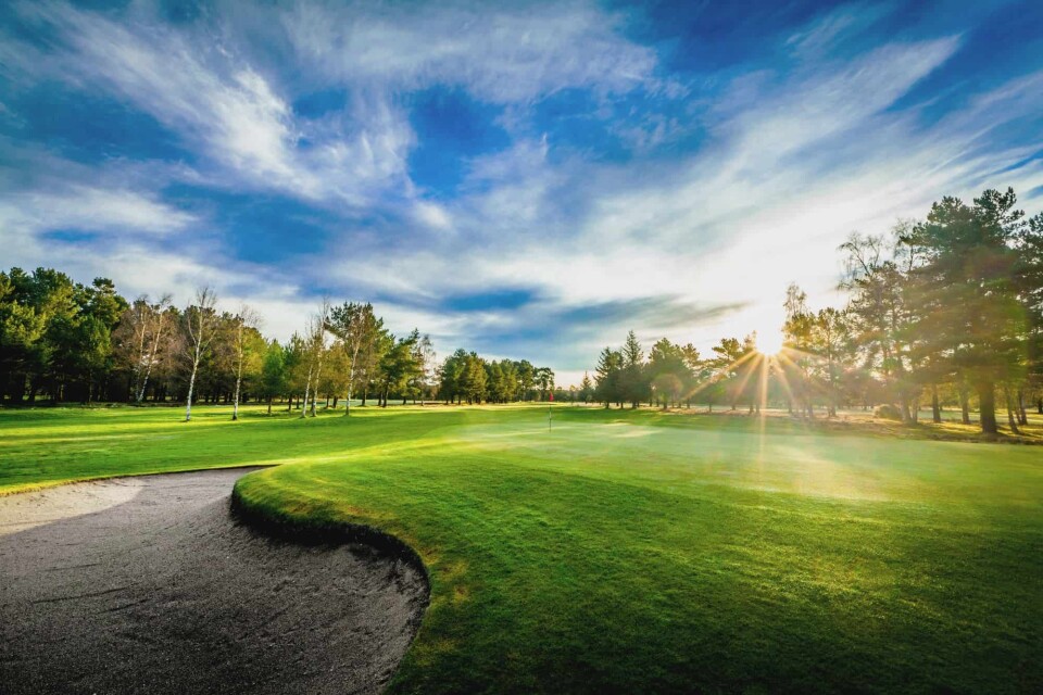 Ladybank, ranked 151 in Great Britain & Ireland Courses